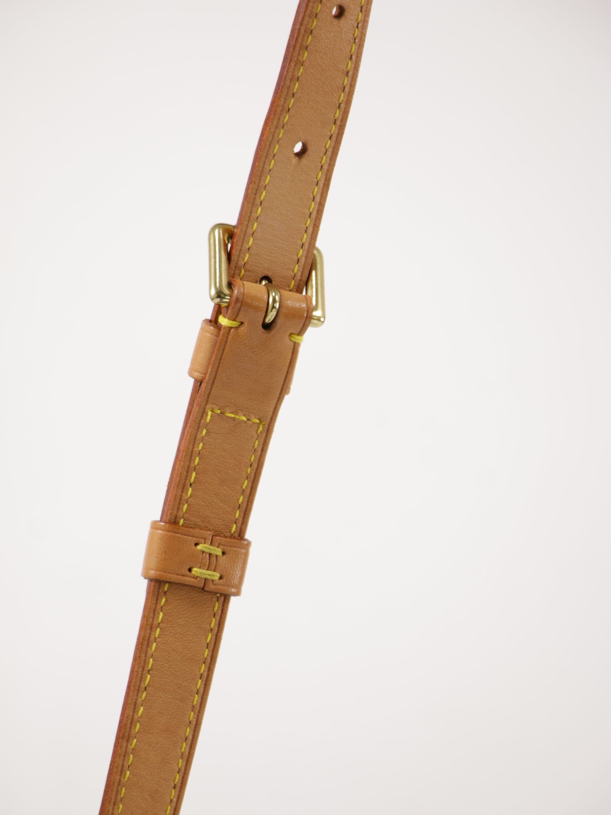 Musette Salsa