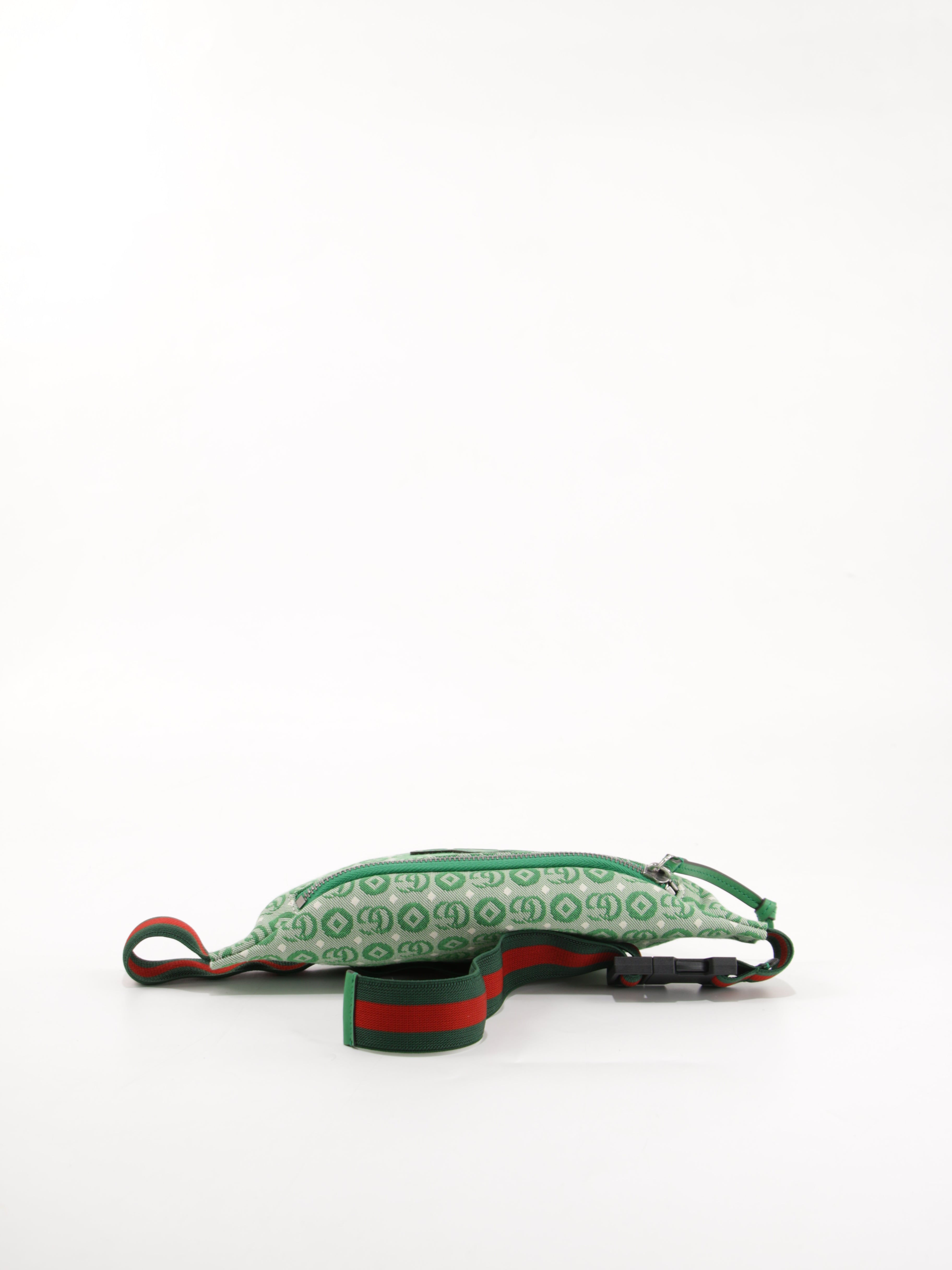 Belt Bag