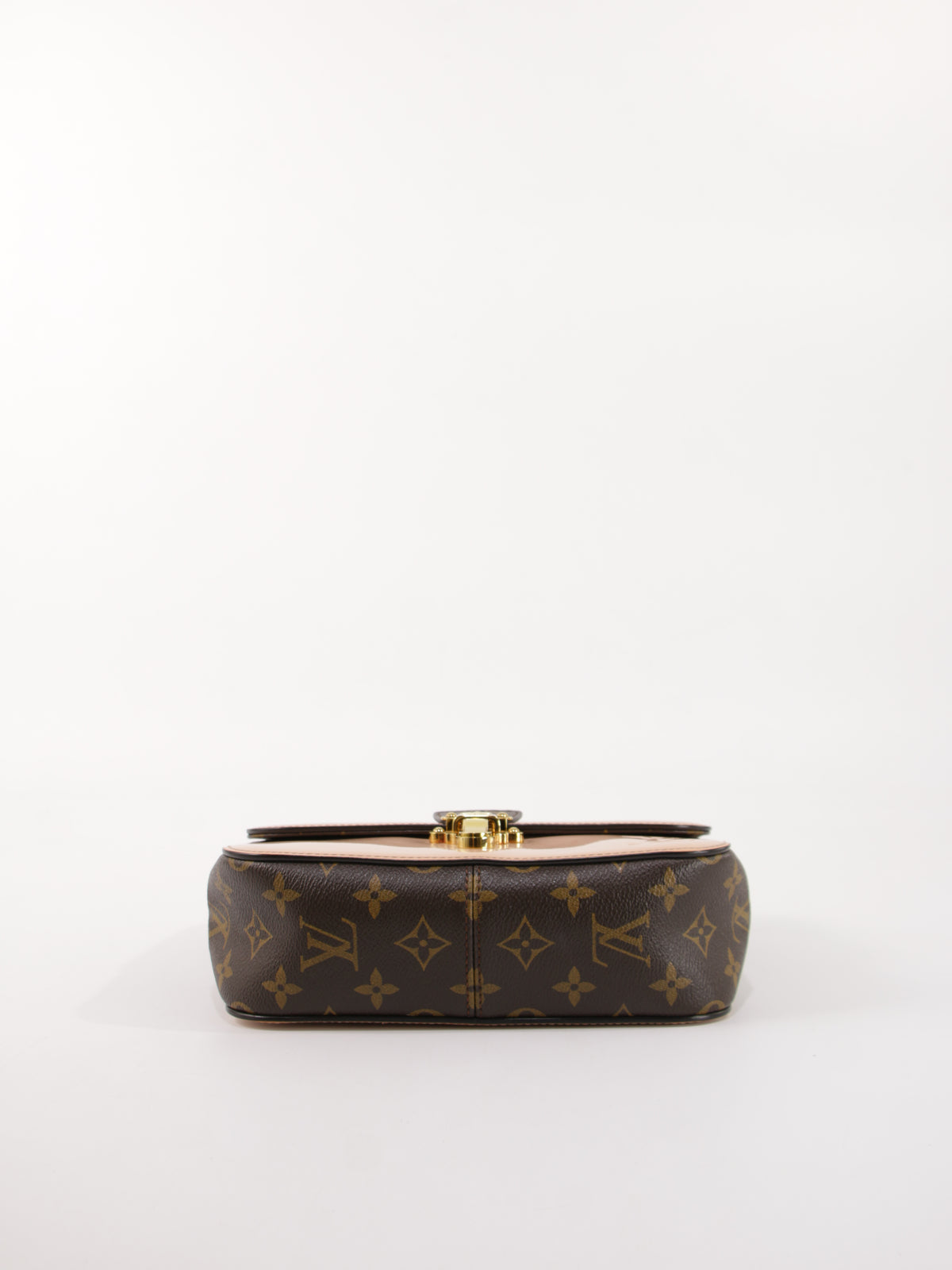 Louis Vuitton Hand Bag