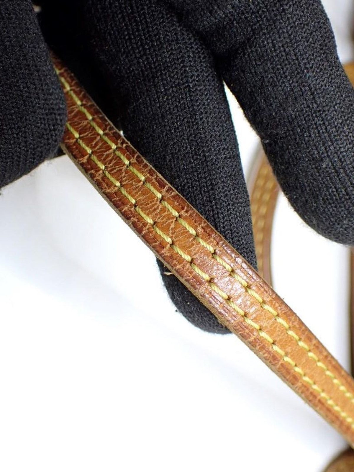 Neverfull PM