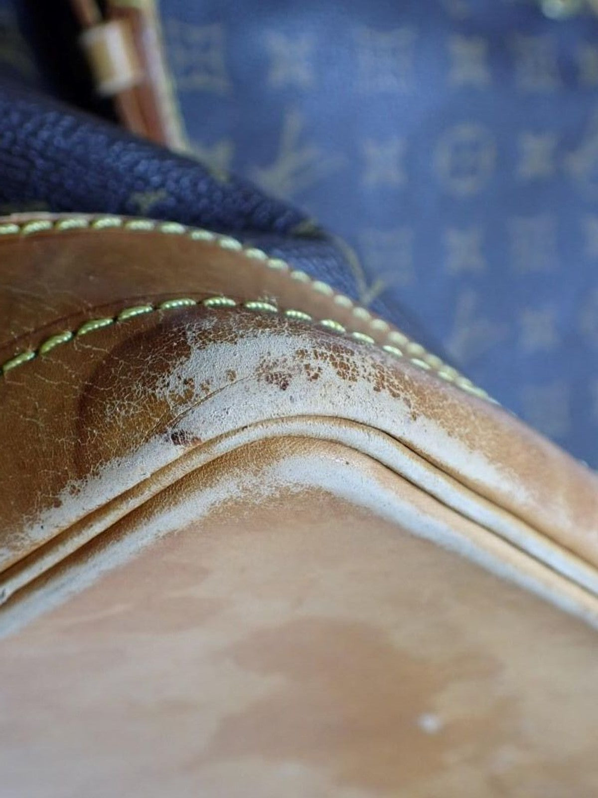 Louis Vuitton Noé