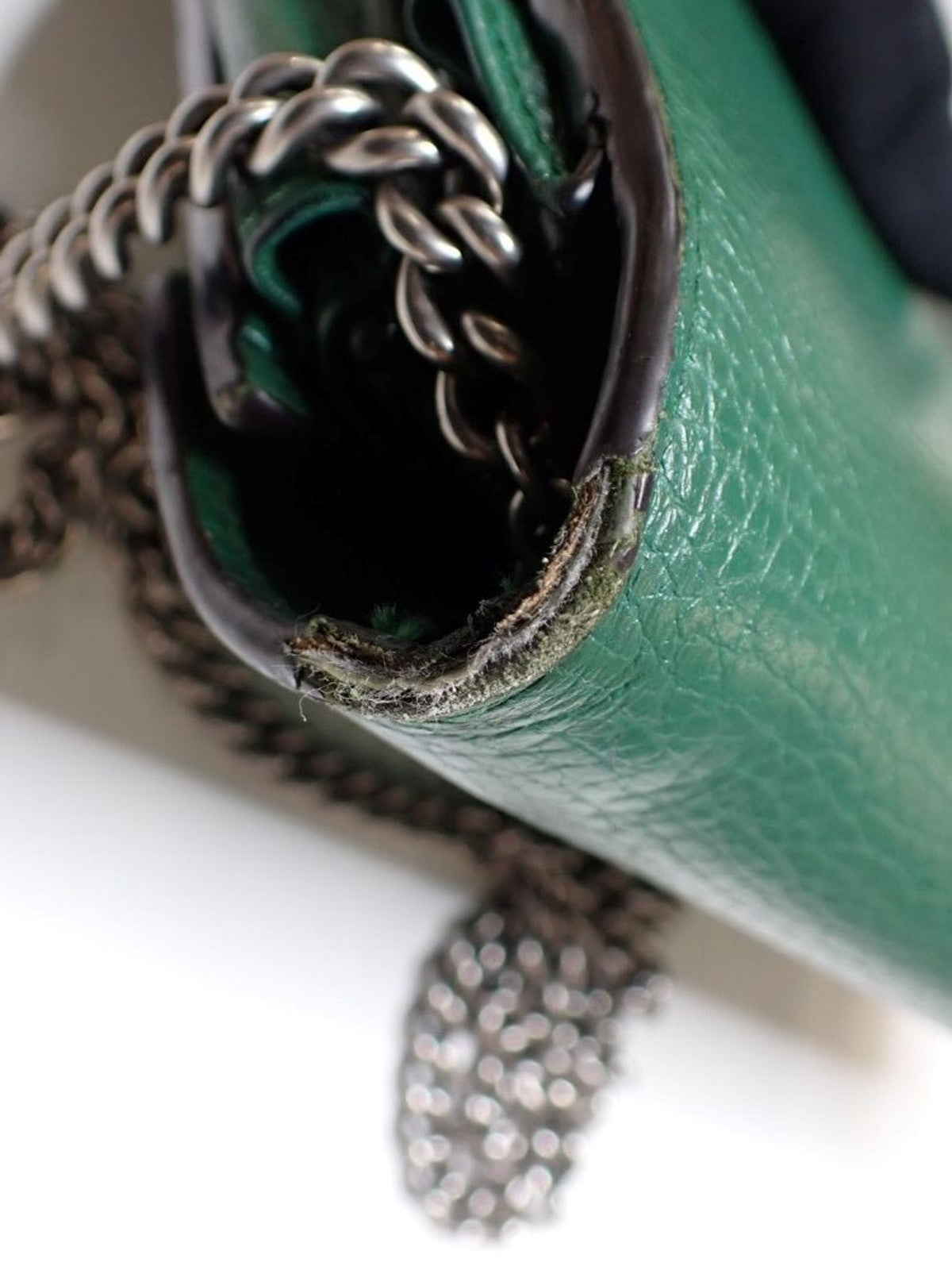 Gucci Dionysus Wallet on Chain