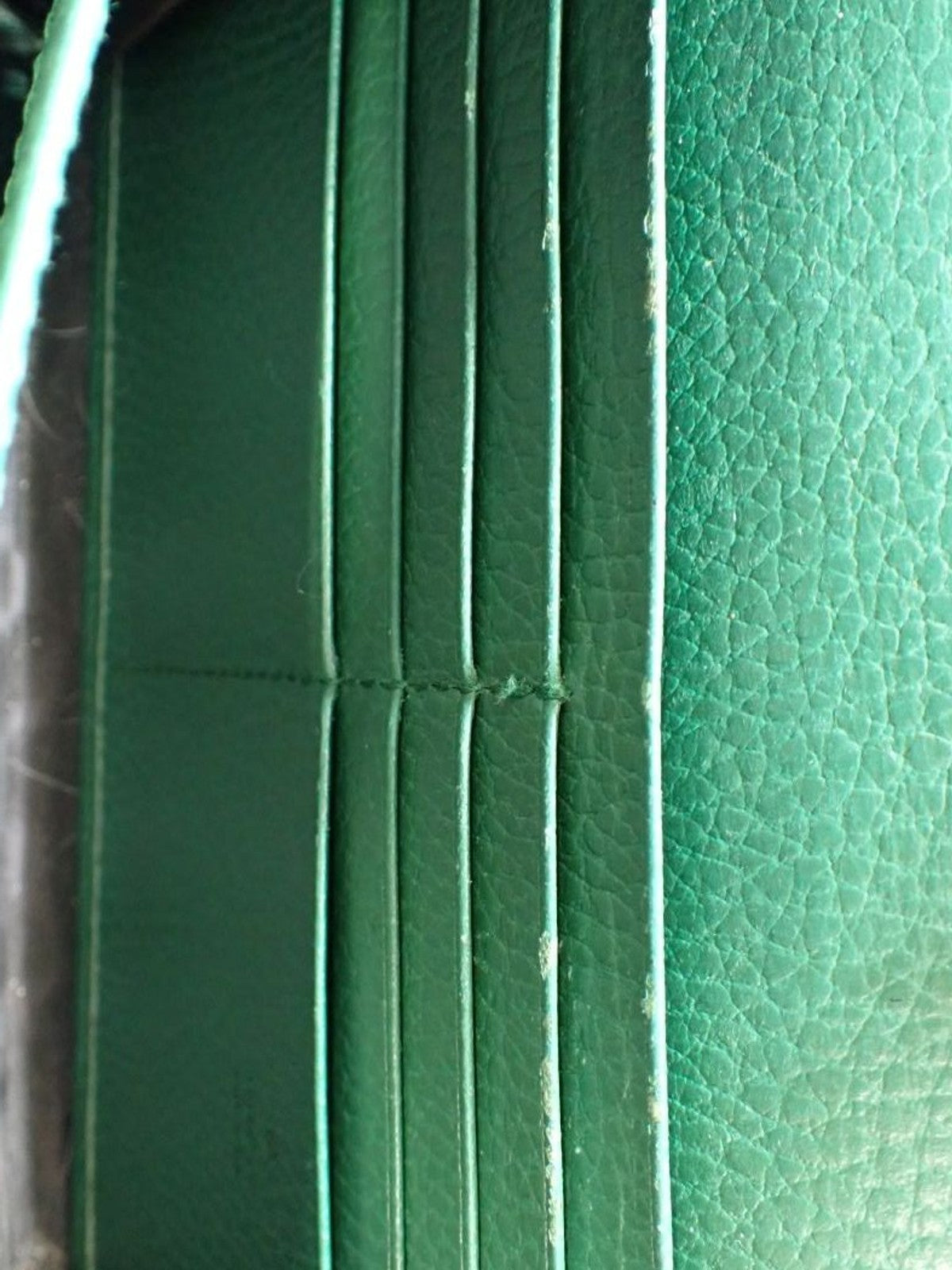 Gucci Dionysus Wallet on Chain