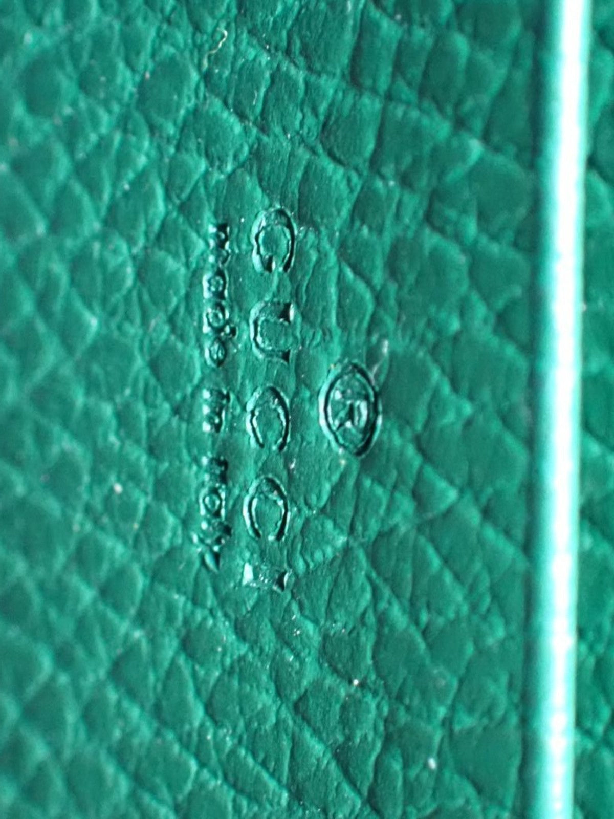 Gucci Dionysus Wallet on Chain