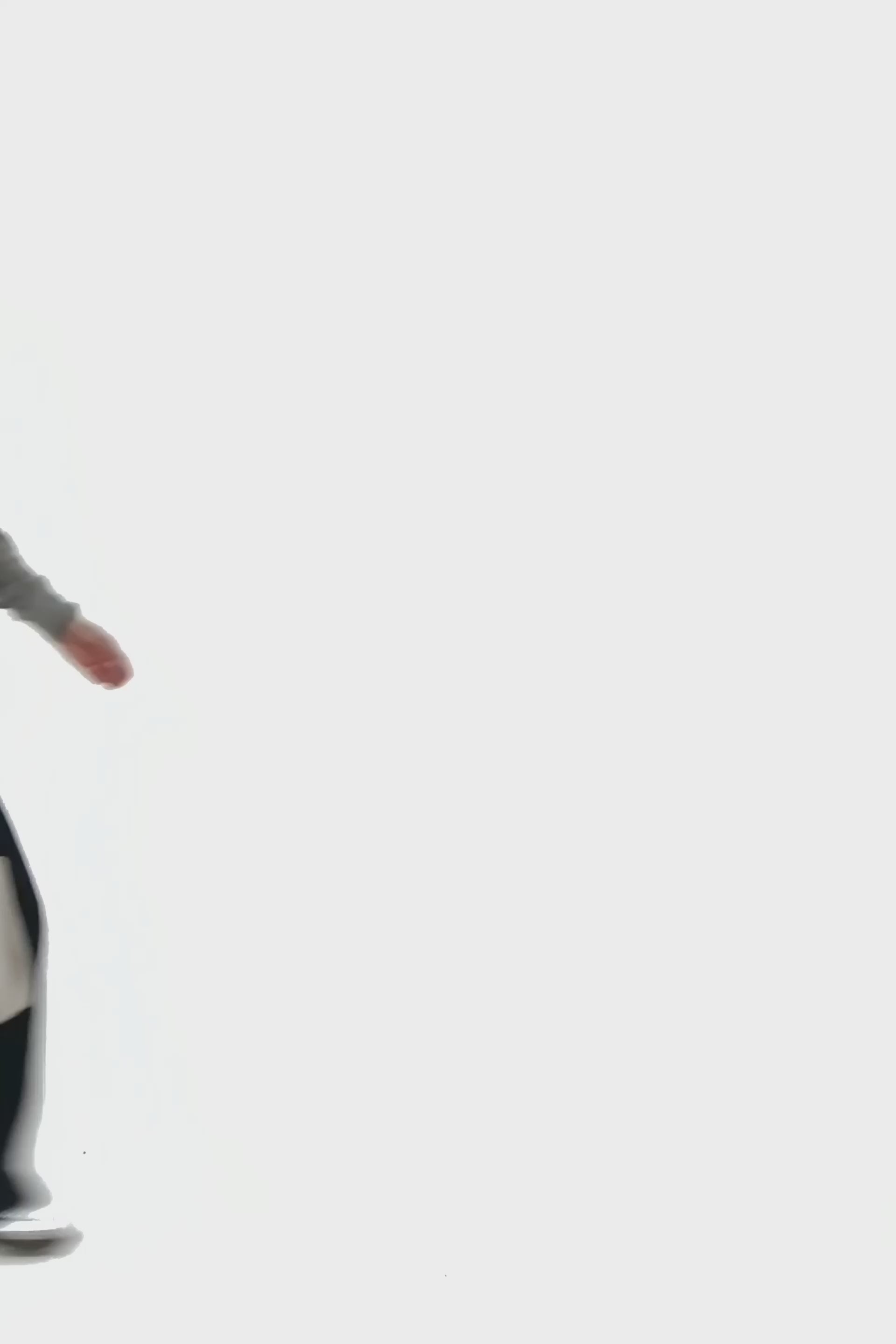 Video laden: stylingimage